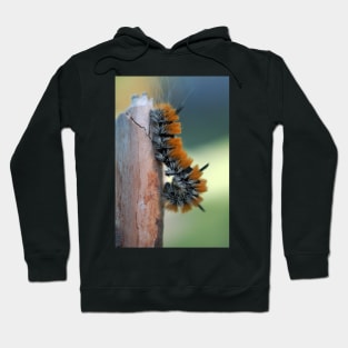 Orange Pillar Hoodie